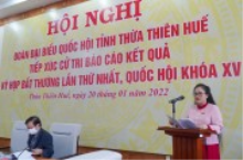 Đồng chí Nguyễn Thị Sửu - Tỉnh ủy viên, Phó Trưởng Đoàn ĐBQH tỉnh