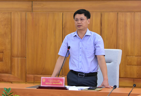 Phó Chủ tịch UBND tỉnh Nguyễn Thanh Bình phát biểu chỉ đạo 